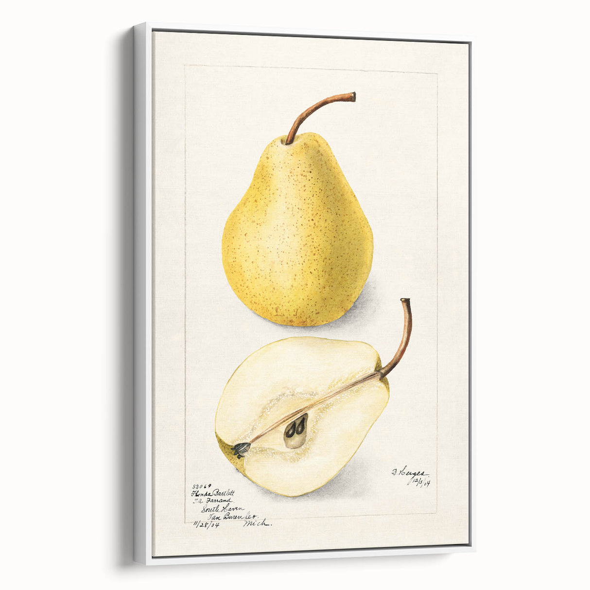 Vintage poster art of colorful fruits on a black background, framed canvas, ideal for living room decor.
