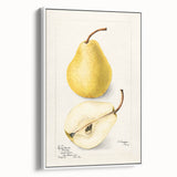 Vintage poster art of colorful fruits on a black background, framed canvas, ideal for living room decor.