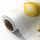 Art Deco style poster featuring an assortment of colorful fruits on a rolled canvas.