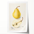 Extra large rolled print of assorted fruits in vibrant colors, ideal for art wall dining room decor.
