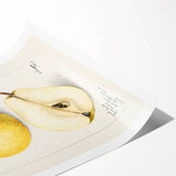 Extra large wall art featuring line art flowers in black on a white background, ideal for large living room decor.