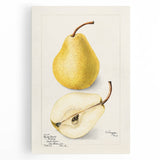 Black and white stretched canvas featuring an array of fruits, ideal for kitchen wall art.