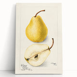 Large black and white landscape art painting of fruits on stretched canvas, ideal for bedroom wall decor.