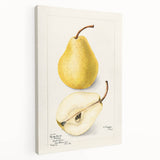 Large canvas print featuring a variety of colorful fruits, ideal for kitchen wall art.