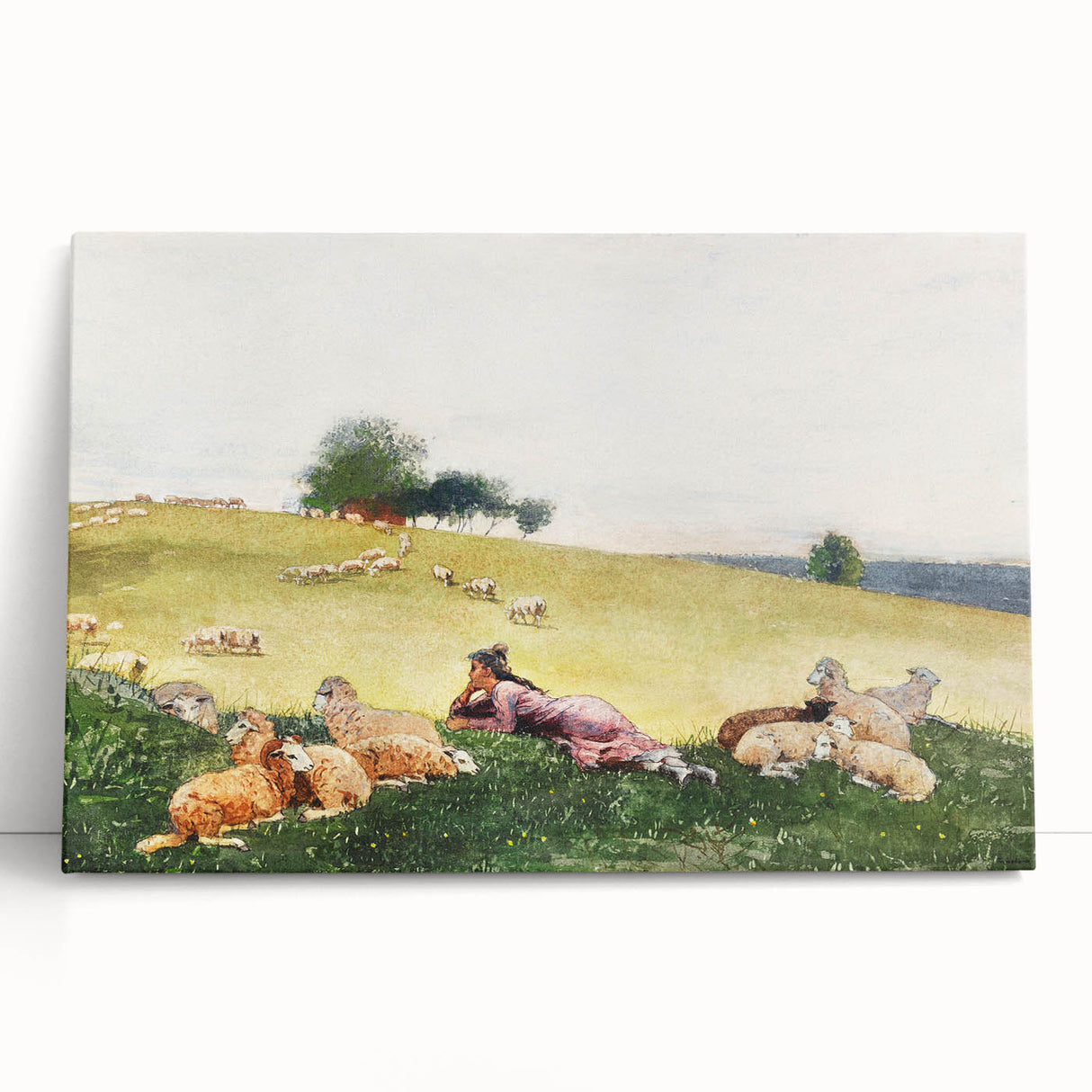 Realism Art Print - Shepherdess in Pasture by Winslow Homer, Fine Art Canvas