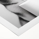 Husky Bathroom Wall Art - Minimalist Black and White Decor