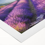 Art deco poster featuring a serene Provence landscape in muted earth tones on rolled canvas, ideal for dining room decor.