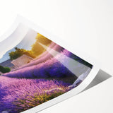 Extra large wall art featuring line art flowers in muted pastel shades on a rolled print, ideal for large living room decor.