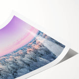 Extra large wall art featuring line art flowers in neutral tones on a rolled canvas, ideal for large living room decor.