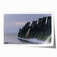 Extra large rolled print of a Lithuanian landscape with vibrant floral elements on a muted background.