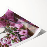 Extra large wall art featuring line art flowers in soft pastel hues on a rolled print, suitable for large living room walls.