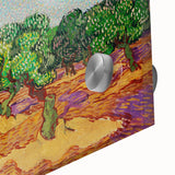 Van Gogh Olive Trees - Vibrant Impressionist Wall Art Canvas Print