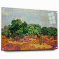 Van Gogh Olive Trees - Vibrant Impressionist Wall Art Canvas Print