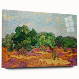 Van Gogh Olive Trees - Vibrant Impressionist Wall Art Canvas Print