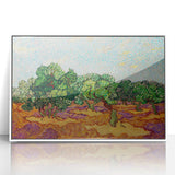 Van Gogh Olive Trees - Vibrant Impressionist Wall Art Canvas Print