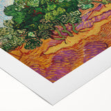 Van Gogh Olive Trees - Vibrant Impressionist Wall Art Canvas Print