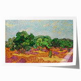 Van Gogh Olive Trees - Vibrant Impressionist Wall Art Canvas Print