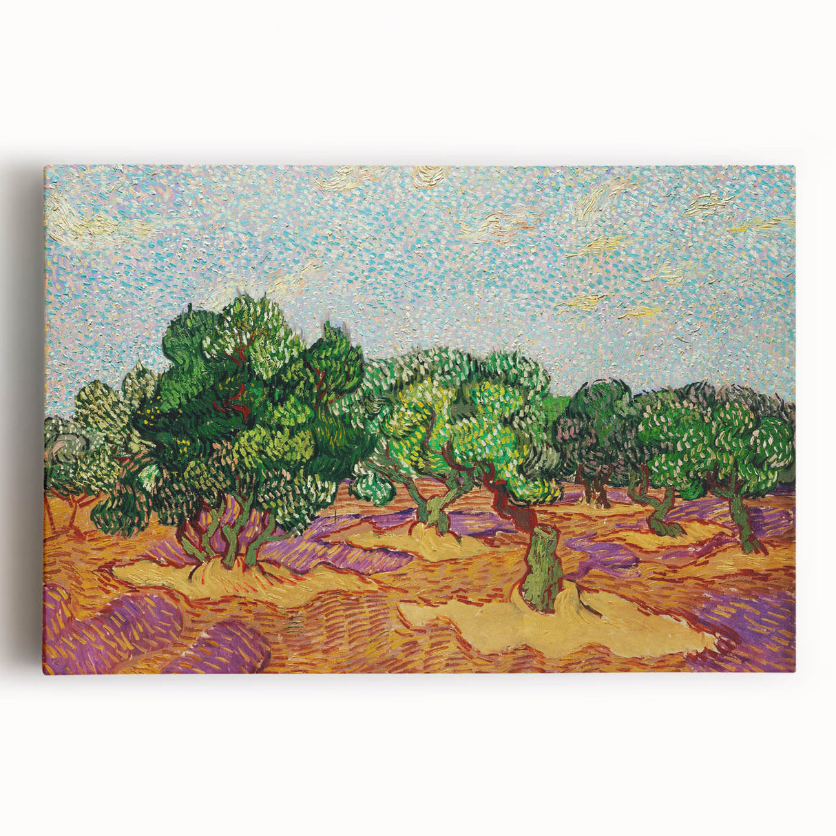 Van Gogh Olive Trees - Vibrant Impressionist Wall Art Canvas Print