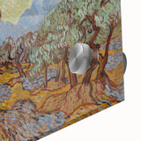 Van Gogh Olive Trees Under Sun - Impressionist Wall Art Print
