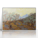 Van Gogh Olive Trees Under Sun - Impressionist Wall Art Print