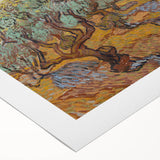 Van Gogh Olive Trees Under Sun - Impressionist Wall Art Print