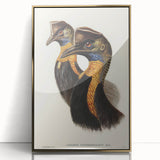 Romanticism Art: Cassowary Illustration by Elizabeth Gould - Exotic Print
