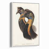 Romanticism Art: Cassowary Illustration by Elizabeth Gould - Exotic Print