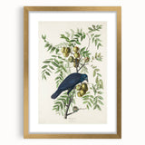Romanticism Art: American Crow by Audubon - Nature-Inspired Print