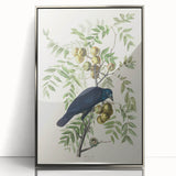 Romanticism Art: American Crow by Audubon - Nature-Inspired Print