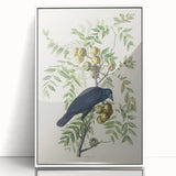 Romanticism Art: American Crow by Audubon - Nature-Inspired Print