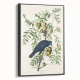 Romanticism Art: American Crow by Audubon - Nature-Inspired Print