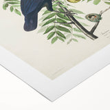 Romanticism Art: American Crow by Audubon - Nature-Inspired Print