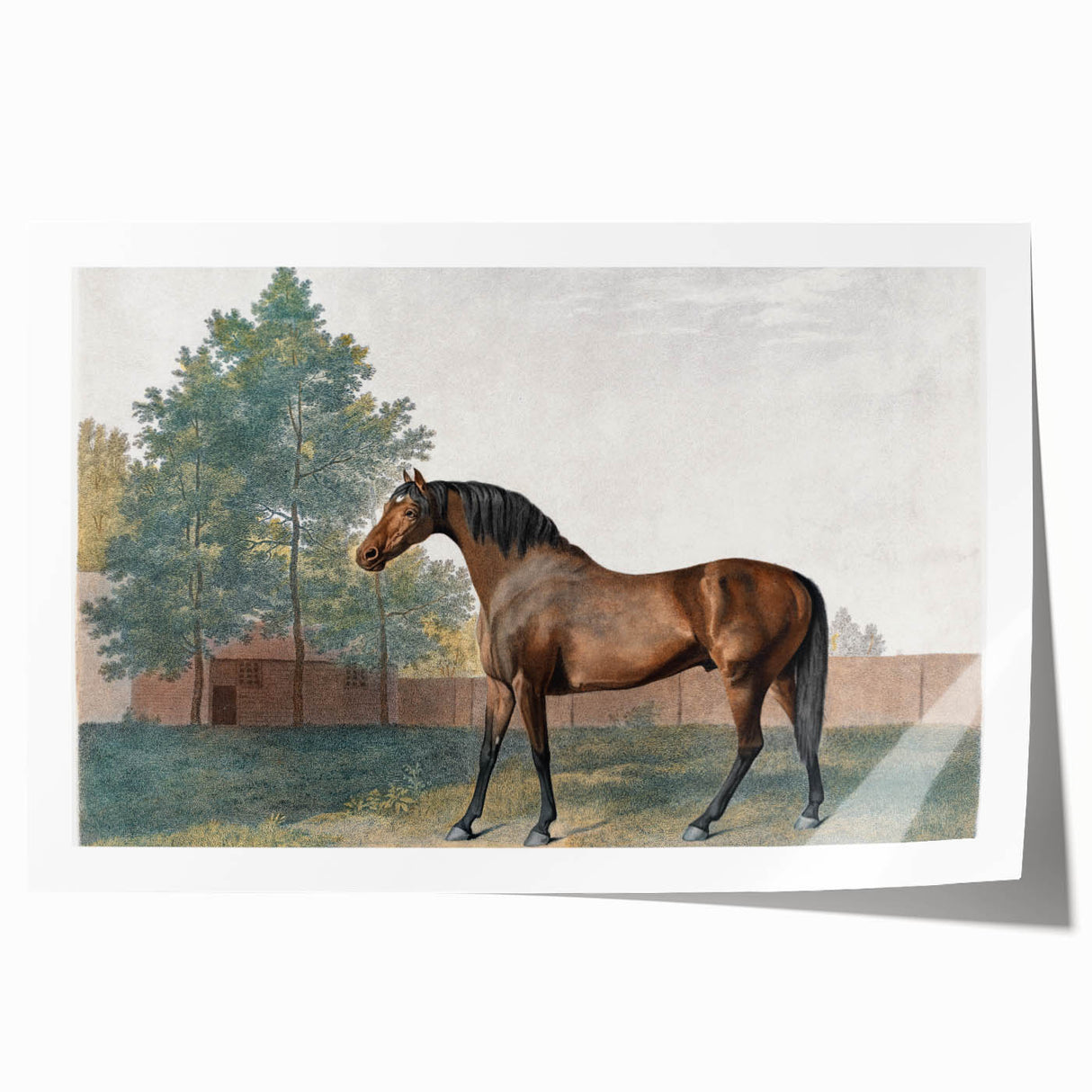 Romanticism Art: Anvil by George Stubbs - Majestic Horse Canvas