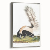 Romanticism Art: Large-tailed Skunk by Audubon - Nature-Inspired Print