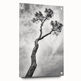 Abstract floral acrylic glass art piece showcasing vibrant colors and intricate designs, displayed from the side with visible mounting pins, ideal for modern decor.