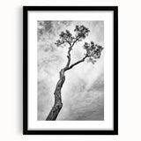 Abstract floral frame artwork with a matte black finish, showcasing vibrant colors and intricate designs, ideal for home decor or gallery walls.