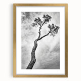 Abstract floral frame with a gold mat, showcasing vibrant colors and intricate designs, ideal for enhancing home decor and artistic displays. Perfect for galleries or personal spaces, highlighting elegance and style.