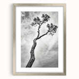 Abstract floral frame design in silver with a textured mat, showcasing vibrant colors and intricate patterns, perfect for home decor or as a gift. Ideal for adding a modern touch to any room.