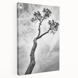 Abstract floral stretched canvas artwork showcasing vibrant colors and intricate patterns, viewed from the side, perfect for modern home decor and artistic displays.