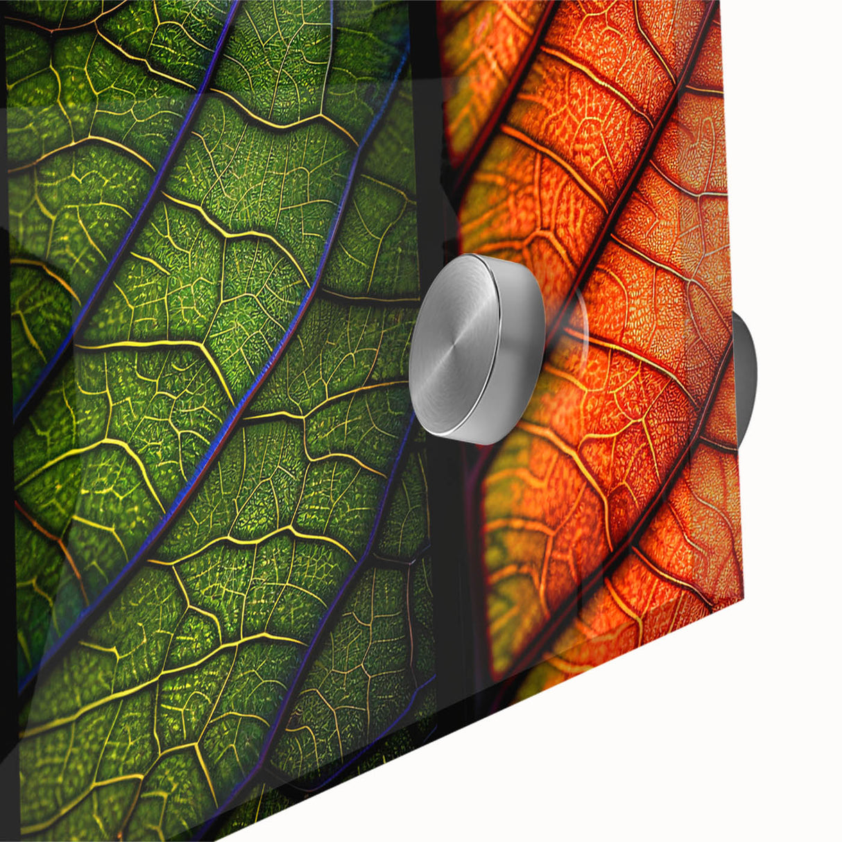Close-up of vibrant acrylic glass wall art featuring an intricate design of colorful flowers and botanical leaves, ideal for enhancing home decor with a nature-inspired aesthetic.