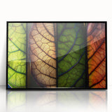 Framed acrylic wall art showcasing a vibrant floral and botanical design with green leaves, set against a sleek black background, ideal for home decor.