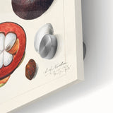 Large abstract wall art featuring assorted fruits in vibrant colors on acrylic glass, ideal for dining room decor.