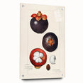 Acrylic glass wall art of assorted fruits in vibrant colors, ideal for dining room decor.