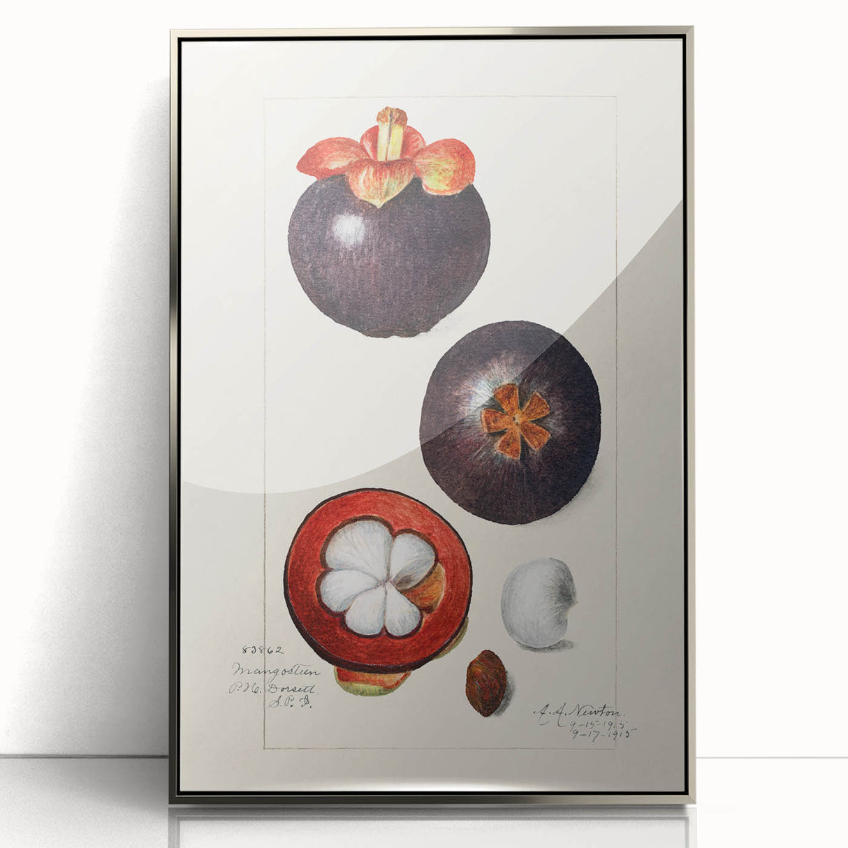 Mid-century modernist art featuring an array of fruits in vibrant colors on a silver-framed acrylic print.