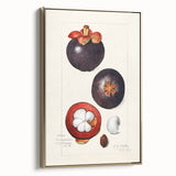 Framed canvas featuring an array of fruits in muted earth tones, ideal for kitchen wall art.