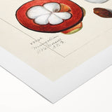 Art deco poster featuring an array of vibrant fruits on rolled canvas, suitable for dining room decor.