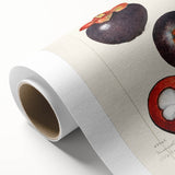 Art Deco style poster of colorful fruits on a rolled canvas, ideal for nursery wall art or dining room decor.