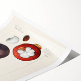 Extra large wall art featuring line art flowers in monochrome, ideal for large living room decor.