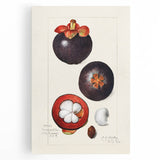 Large black and white stretched canvas featuring an assortment of fruits, ideal for kitchen wall art.