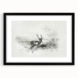 Black landscape frame with a white mat, showcasing a serene nature scene. The frame’s sleek design complements modern decor, enhancing any living space.